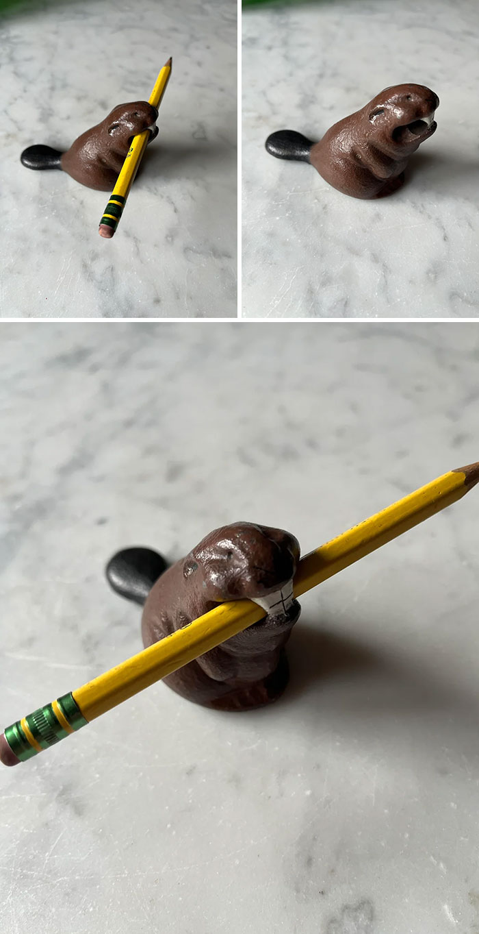 73 Thrift Store Finds So Good They Had To Be Bragged About (New Pics)