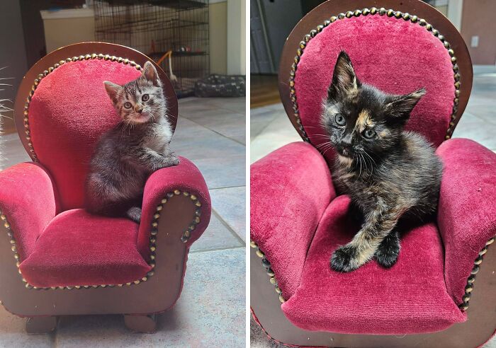 73 Thrift Store Finds So Good They Had To Be Bragged About (New Pics)