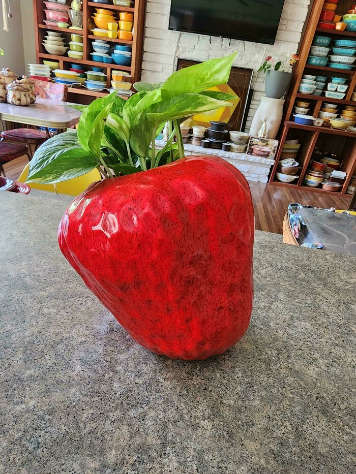 73 Thrift Store Finds So Good They Had To Be Bragged About (New Pics)