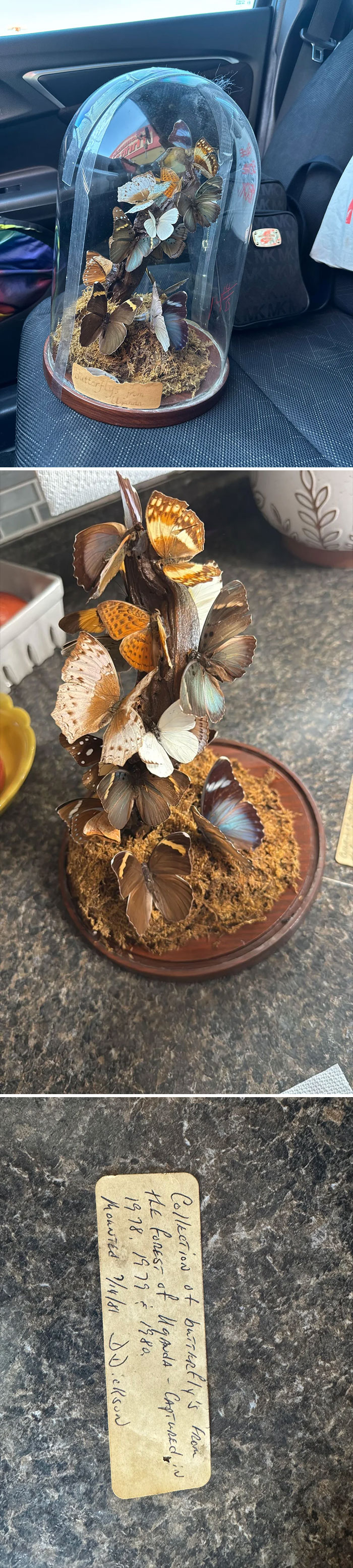 73 Thrift Store Finds So Good They Had To Be Bragged About (New Pics)
