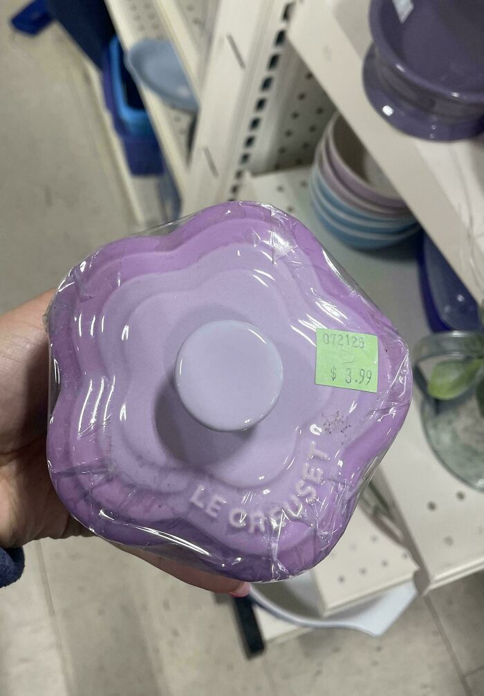 73 Thrift Store Finds So Good They Had To Be Bragged About (New Pics)