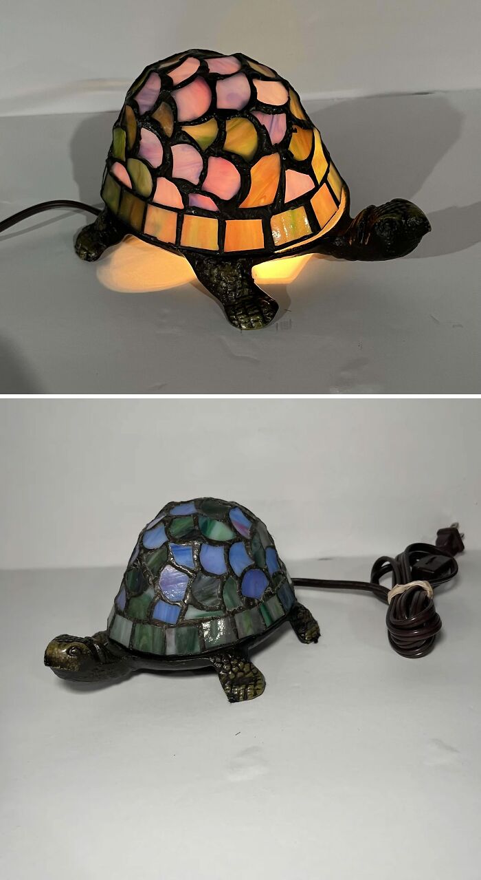 73 Thrift Store Finds So Good They Had To Be Bragged About (New Pics)