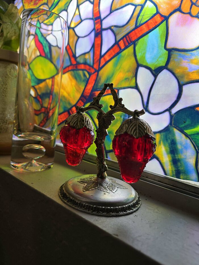 73 Thrift Store Finds So Good They Had To Be Bragged About (New Pics)