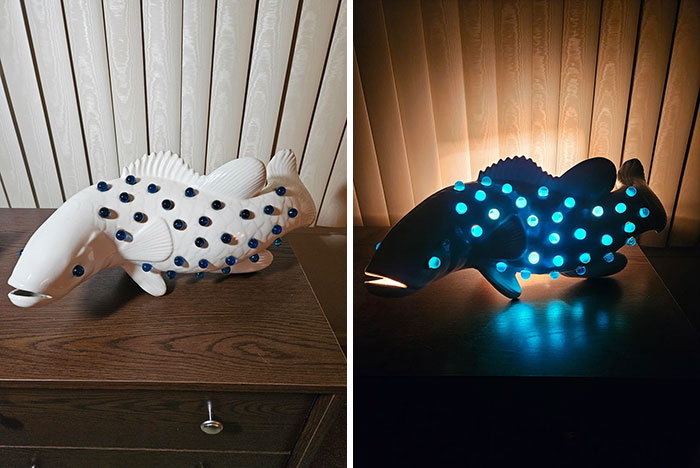 73 Thrift Store Finds So Good They Had To Be Bragged About (New Pics)