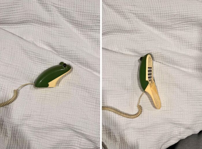 73 Thrift Store Finds So Good They Had To Be Bragged About (New Pics)