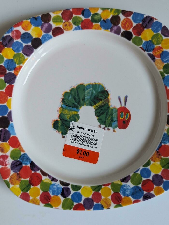 73 Thrift Store Finds So Good They Had To Be Bragged About (New Pics)