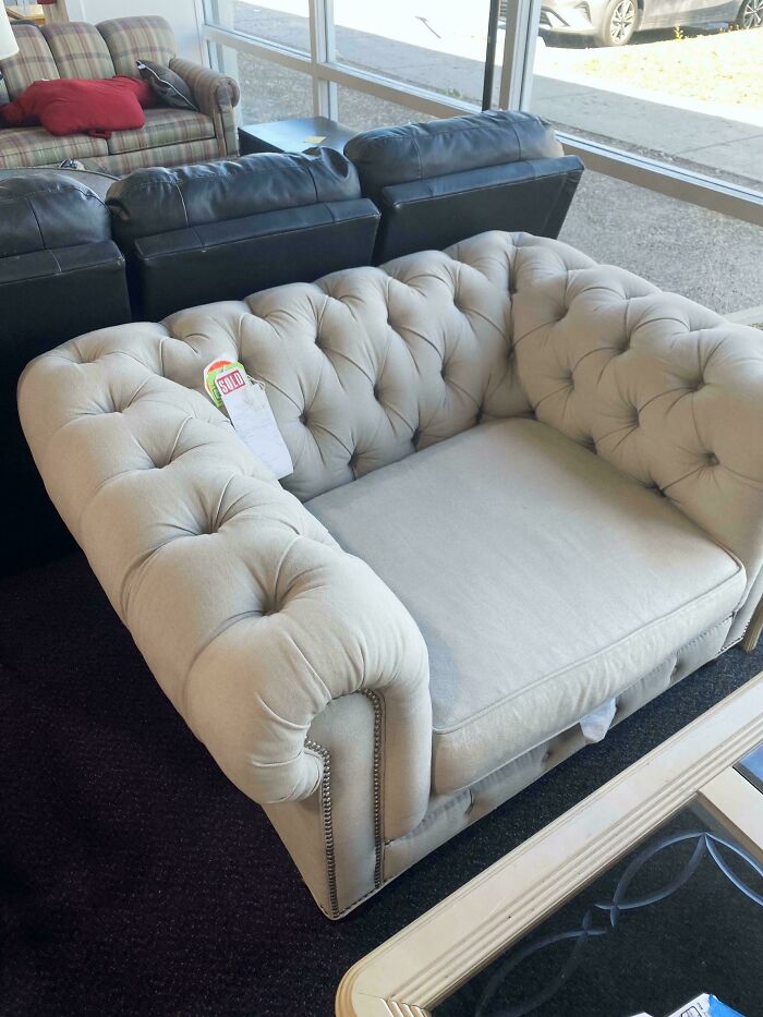 73 Thrift Store Finds So Good They Had To Be Bragged About (New Pics)