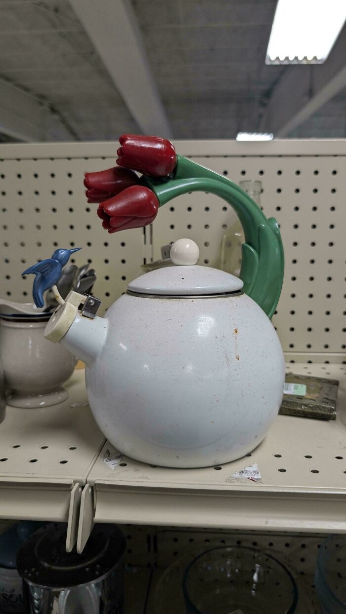73 Thrift Store Finds So Good They Had To Be Bragged About (New Pics)