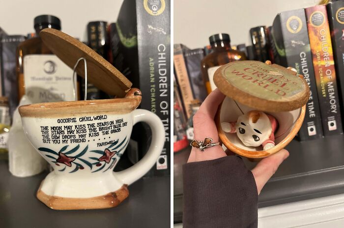 73 Thrift Store Finds So Good They Had To Be Bragged About (New Pics)