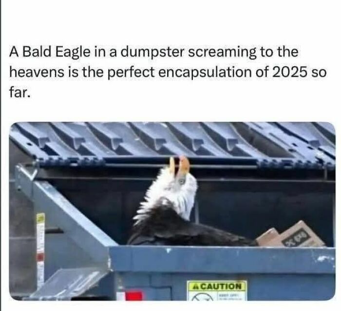 80 Adorable Animal Memes That Should Bring Some Sunshine To Your Day (New Pics)