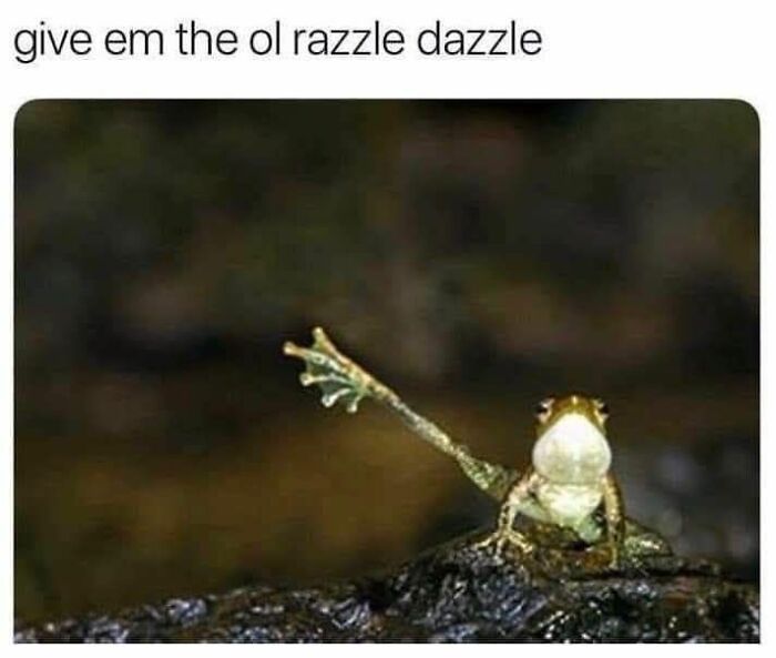 80 Adorable Animal Memes That Should Bring Some Sunshine To Your Day (New Pics)
