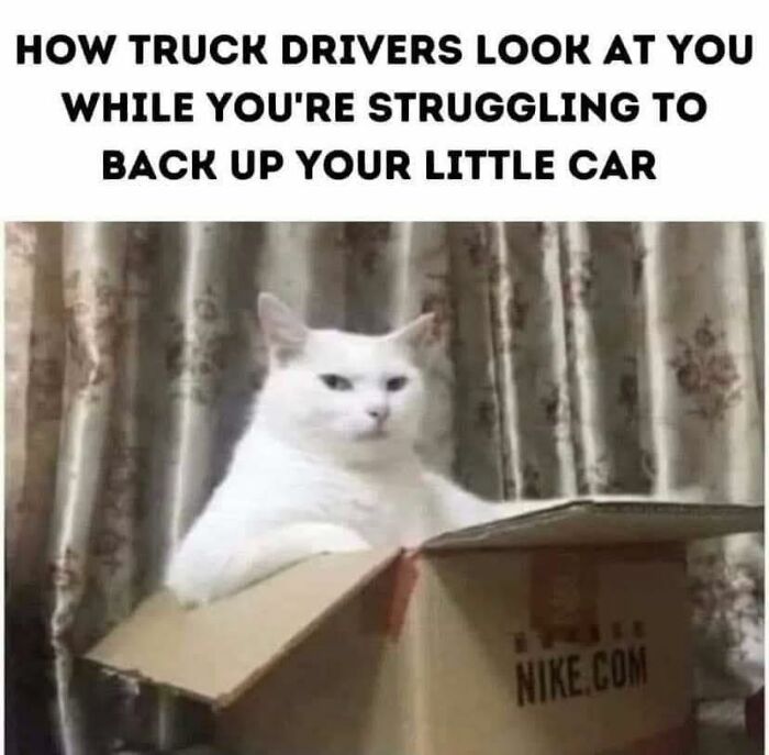 80 Adorable Animal Memes That Should Bring Some Sunshine To Your Day (New Pics)