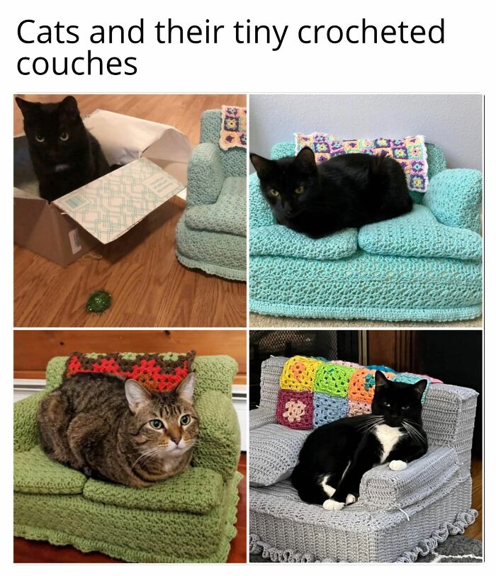 80 Adorable Animal Memes That Should Bring Some Sunshine To Your Day (New Pics)