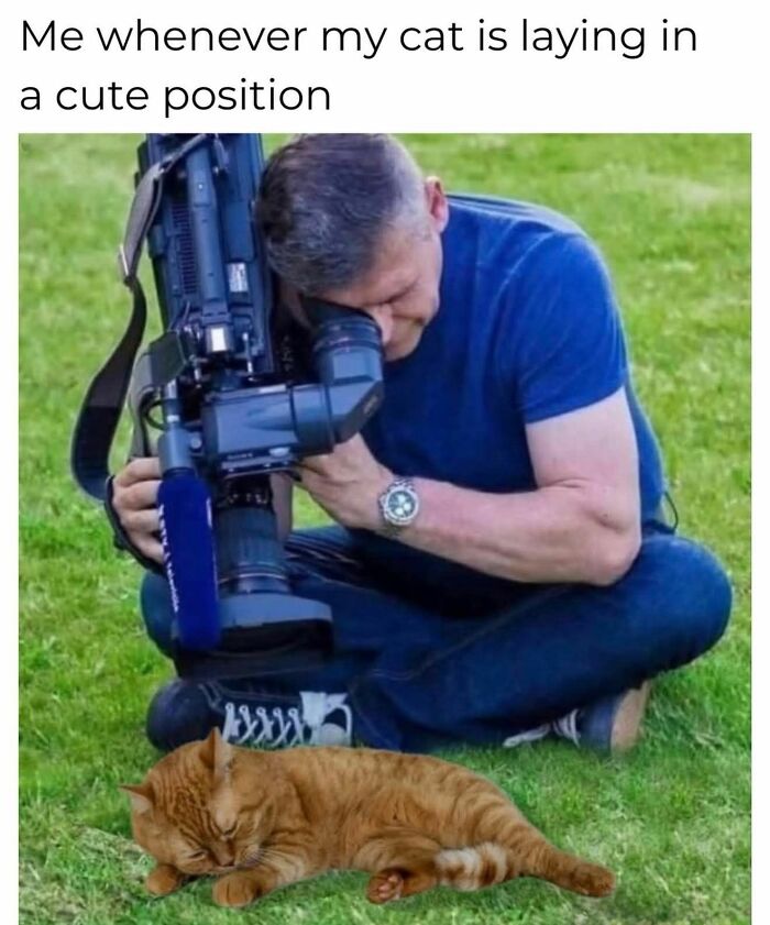 80 Adorable Animal Memes That Should Bring Some Sunshine To Your Day (New Pics)
