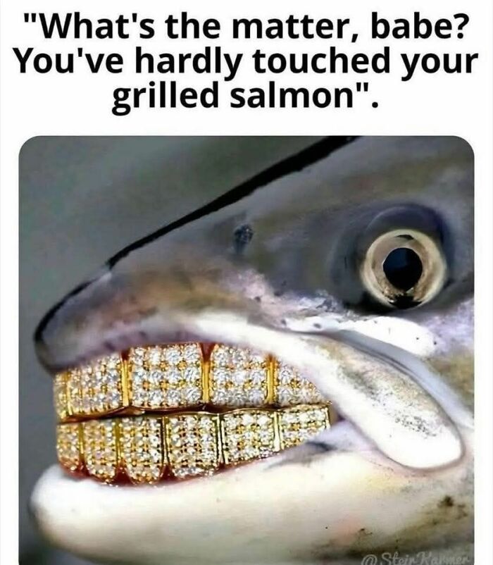 80 Adorable Animal Memes That Should Bring Some Sunshine To Your Day (New Pics)