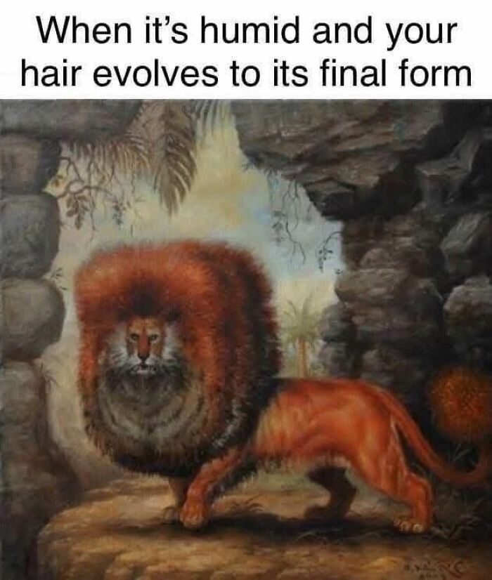 80 Adorable Animal Memes That Should Bring Some Sunshine To Your Day (New Pics)