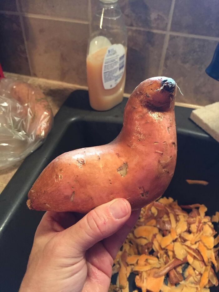 50 Funny Pareidolia Pics That Prove Even Random Objects Have Personality