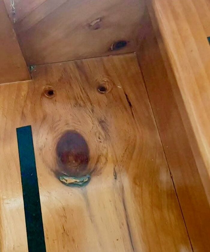 50 Funny Pareidolia Pics That Prove Even Random Objects Have Personality