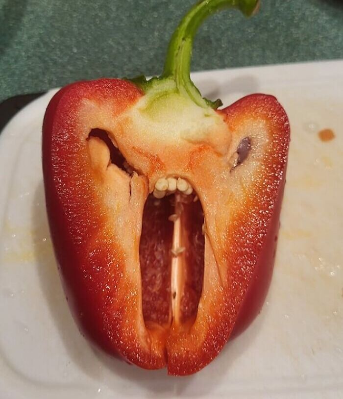 50 Funny Pareidolia Pics That Prove Even Random Objects Have Personality