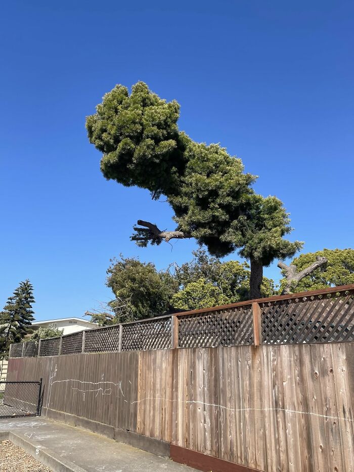 50 Funny Pareidolia Pics That Prove Even Random Objects Have Personality