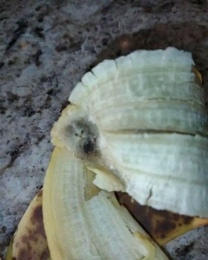 50 Funny Pareidolia Pics That Prove Even Random Objects Have Personality
