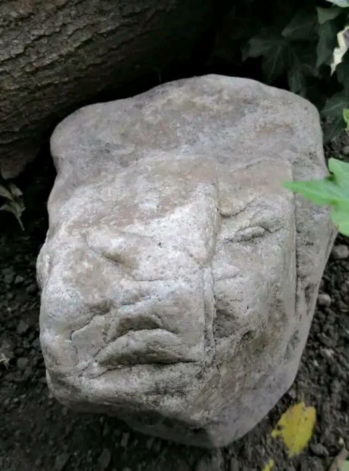 50 Funny Pareidolia Pics That Prove Even Random Objects Have Personality