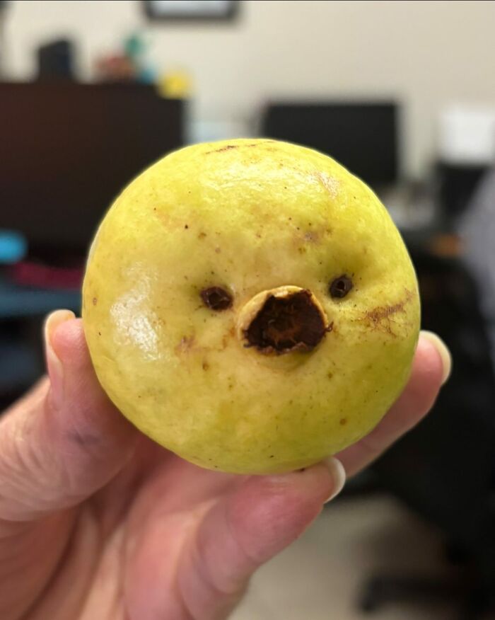 50 Funny Pareidolia Pics That Prove Even Random Objects Have Personality