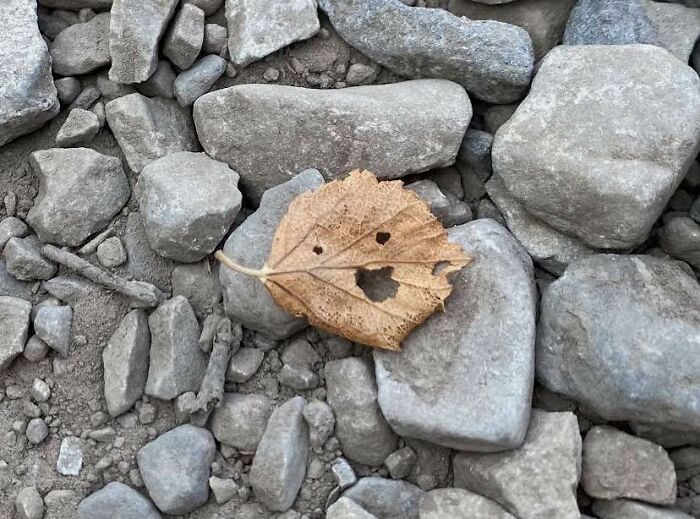 50 Funny Pareidolia Pics That Prove Even Random Objects Have Personality