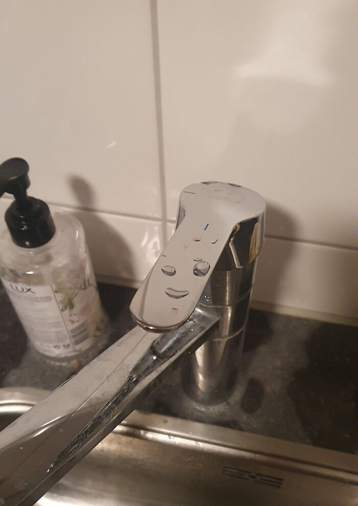50 Funny Pareidolia Pics That Prove Even Random Objects Have Personality