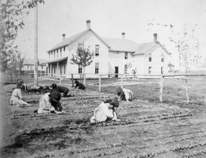 30 Haunting Photos From Native American Boarding Schools In The 1910s