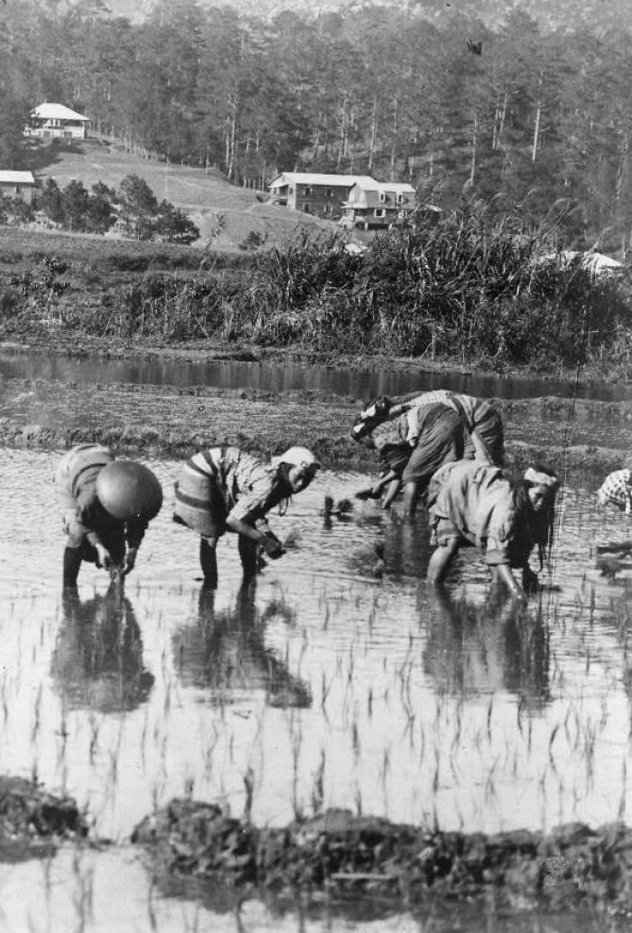 The Philippines In The 1890s: A World Of Stunning Contrasts (29 Pics)