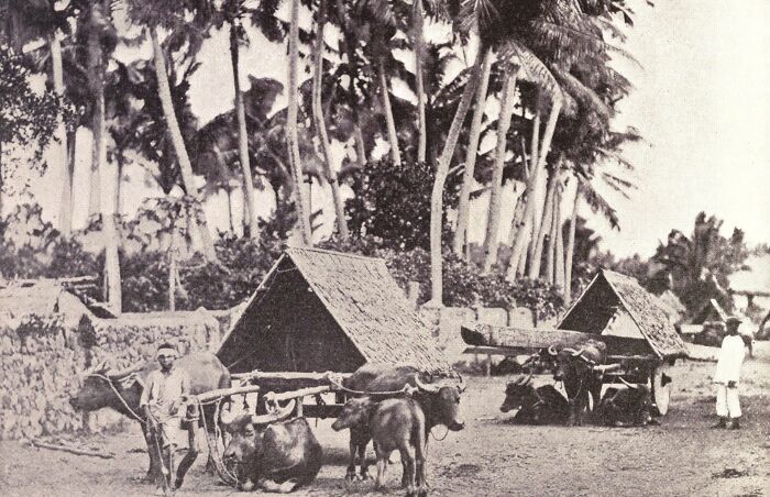 The Philippines In The 1890s: A World Of Stunning Contrasts (29 Pics)
