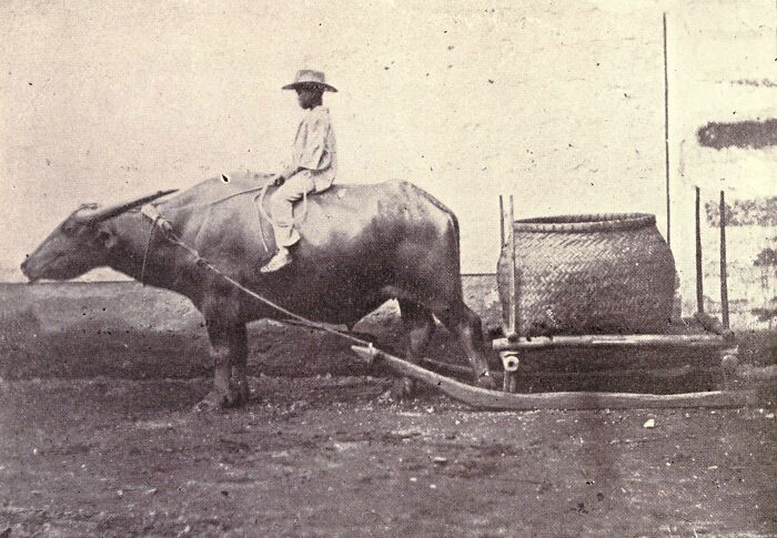 The Philippines In The 1890s: A World Of Stunning Contrasts (29 Pics)