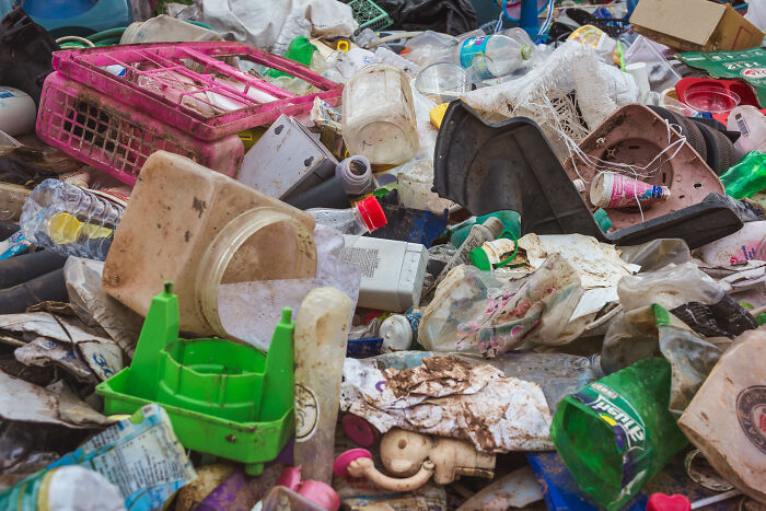 Injured Pup Left For Dead Gets New Lease On Life After Person Spots Her Sprawled Across Trash Pile