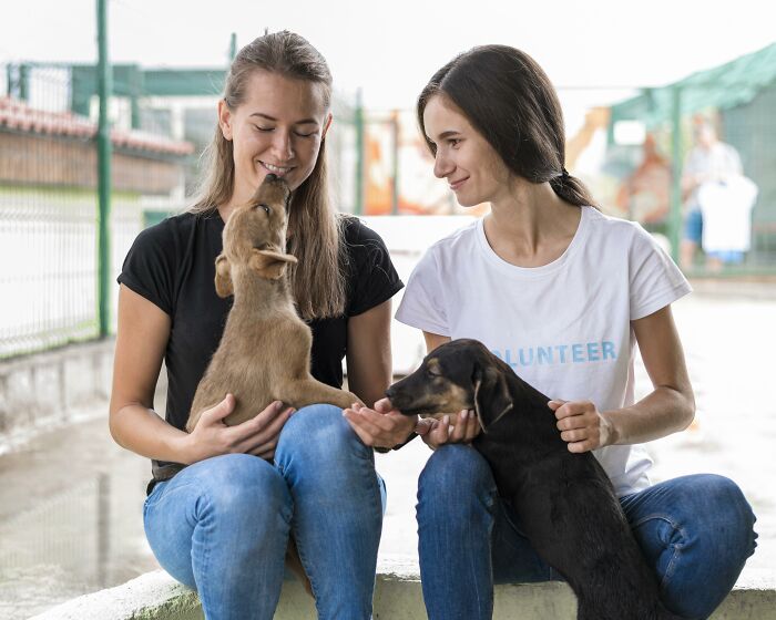 Injured Pup Left For Dead Gets New Lease On Life After Person Spots Her Sprawled Across Trash Pile