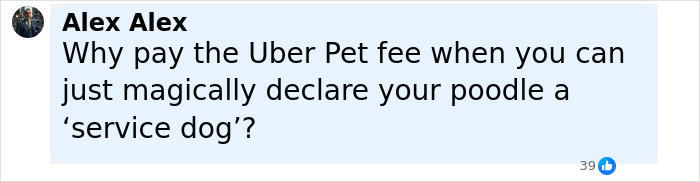Uber Driver Brutally Knocks Out CEO With Service Dog In Shocking Video—Passenger&#8217;s Account Got Suspended