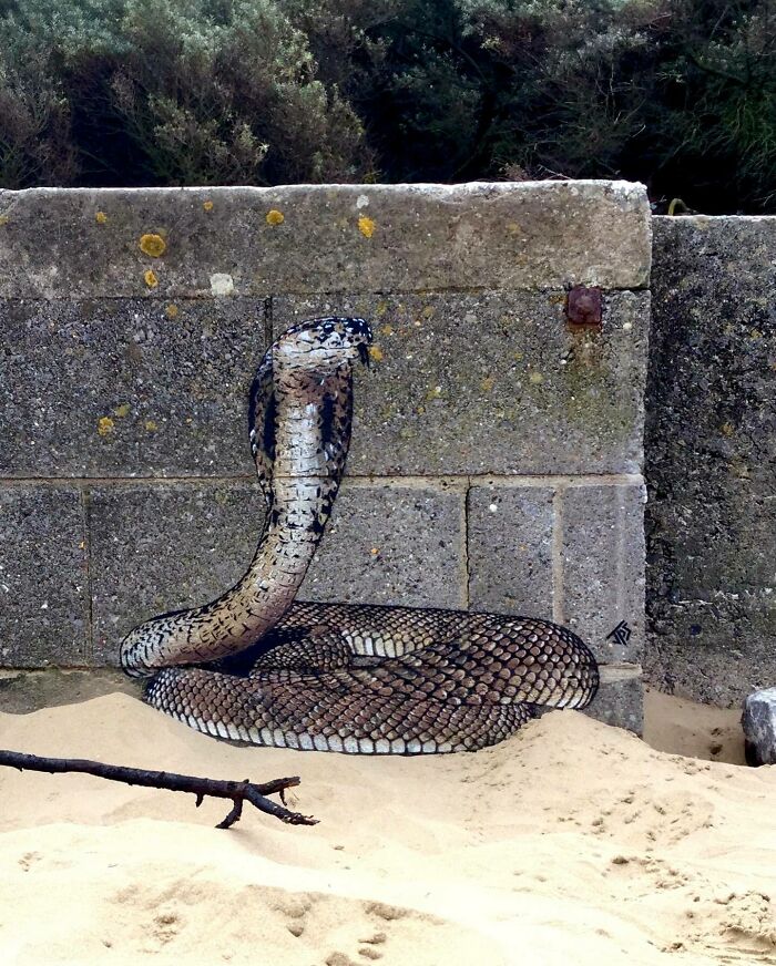 This Artist Creates Graffiti That Interacts With Its Surroundings (50 New Pics)