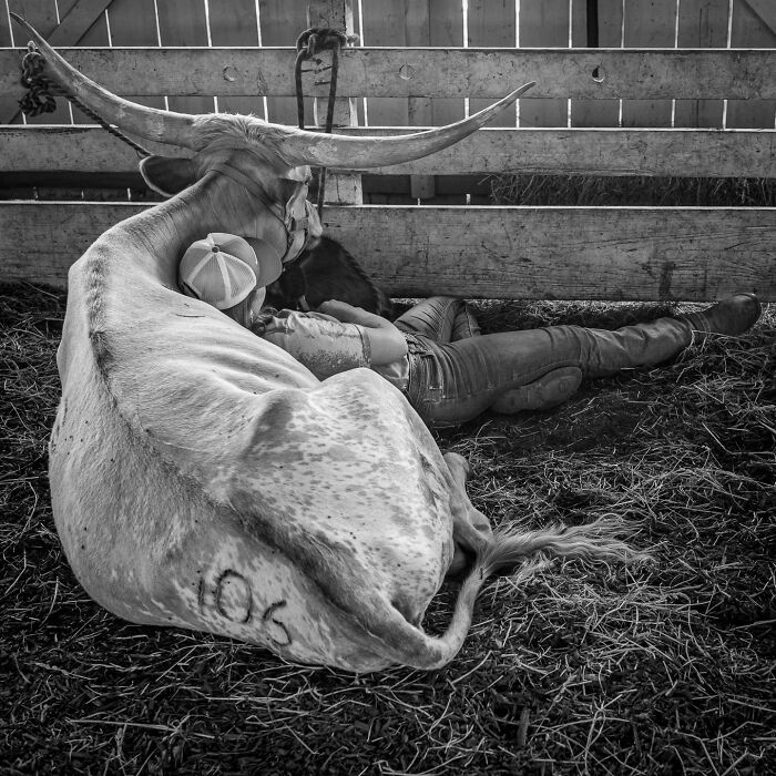 50 Powerful Images That Turn Everyday Life Into Visual Stories By This Photographer