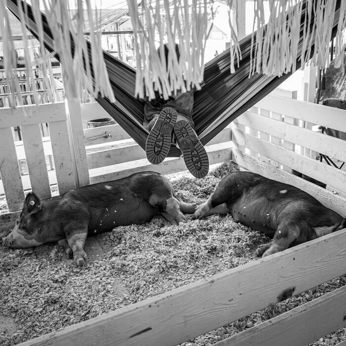 50 Powerful Images That Turn Everyday Life Into Visual Stories By This Photographer