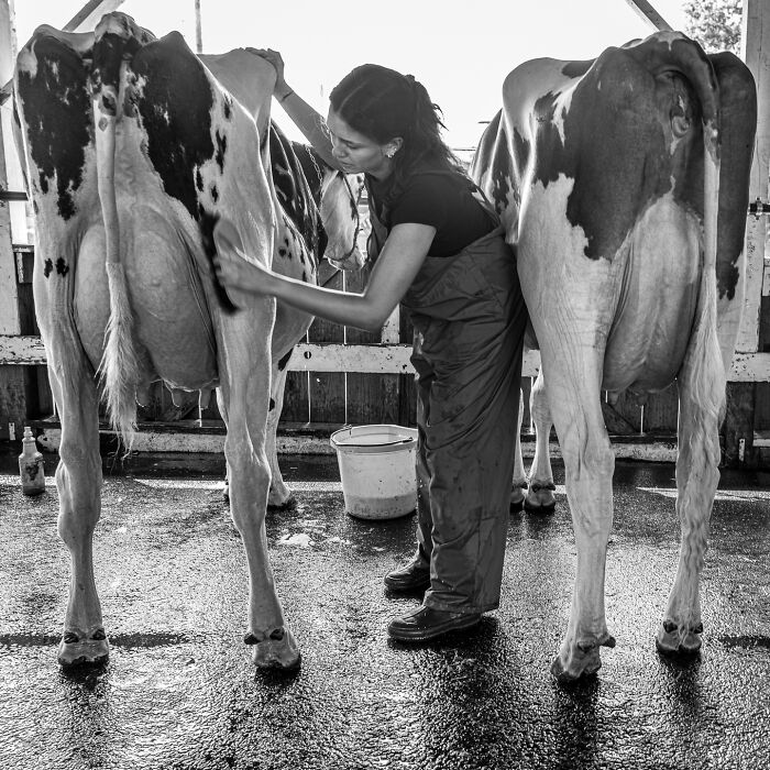 50 Powerful Images That Turn Everyday Life Into Visual Stories By This Photographer