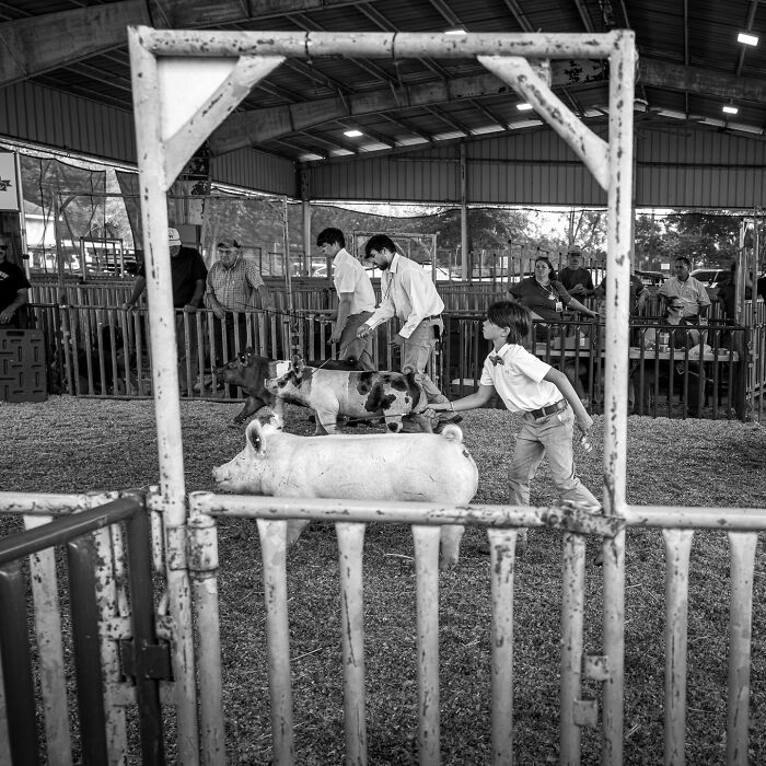50 Powerful Images That Turn Everyday Life Into Visual Stories By This Photographer