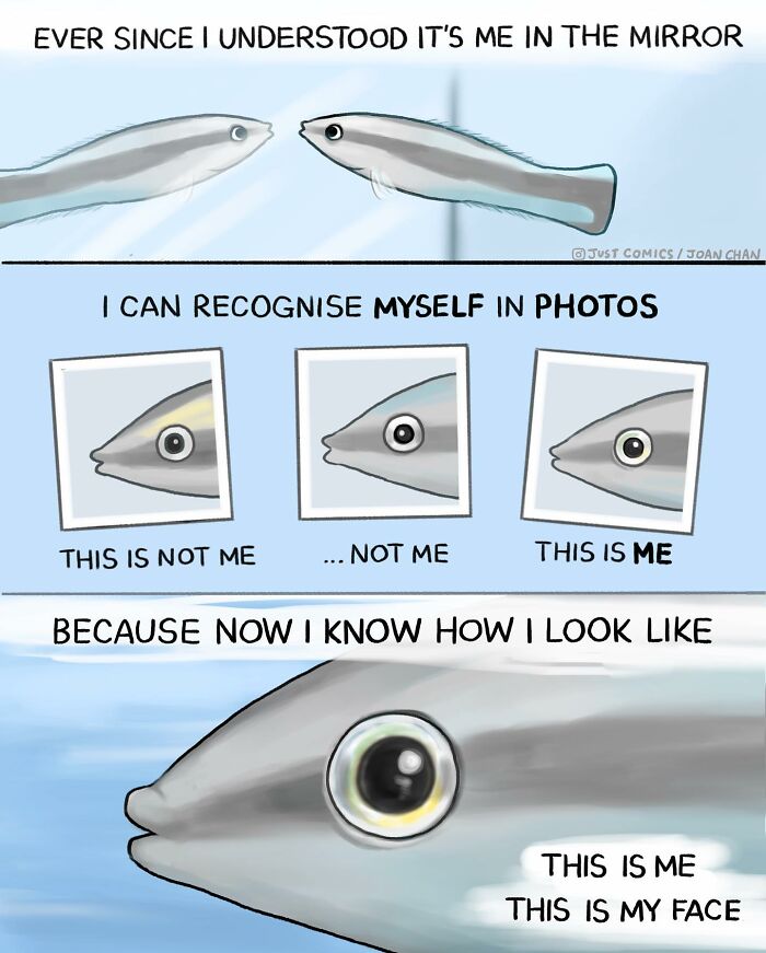 15 Thought-Provoking Comics By This Artist That Showcase The Urgent Problems We Can’t Ignore (New Pics)