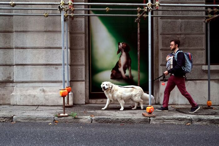Photographer Captures 50 Of Life’s Unseen, Unposed Moments On The Streets