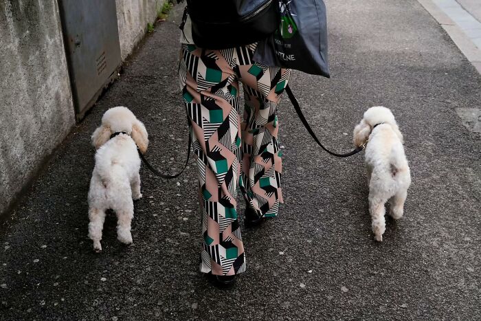 Photographer Captures 50 Of Life’s Unseen, Unposed Moments On The Streets