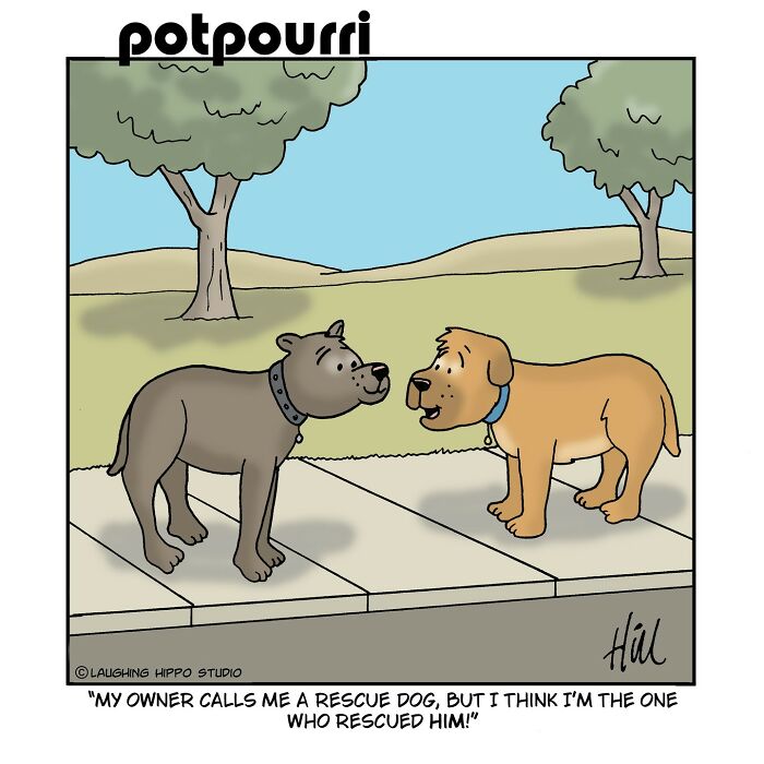 50 New One-Panel Comics Filled With Humor And Silly Situations By ‘Laughing Hippo Studio’