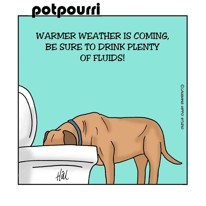 50 New One-Panel Comics Filled With Humor And Silly Situations By ‘Laughing Hippo Studio’