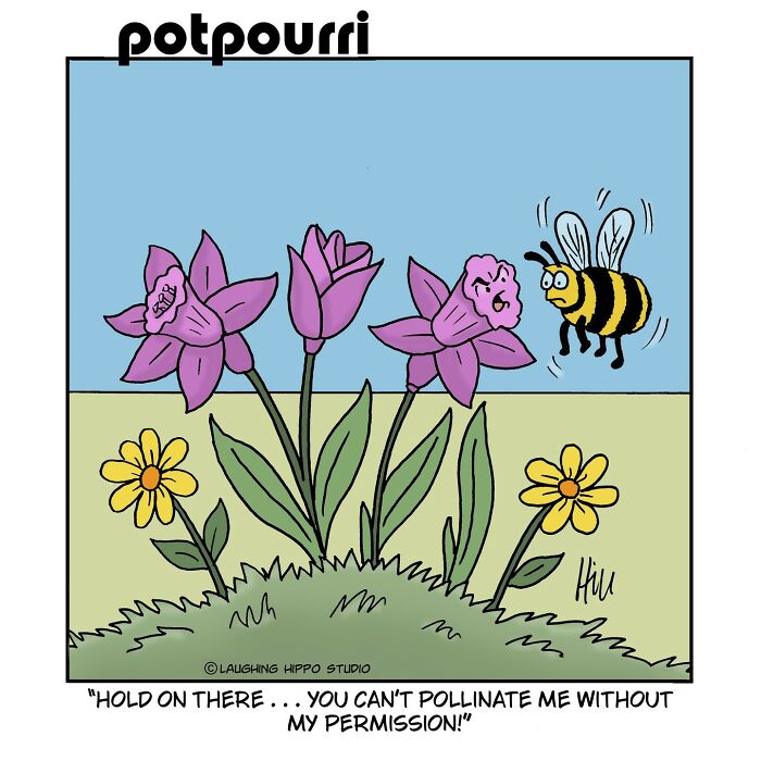 50 New One-Panel Comics Filled With Humor And Silly Situations By ‘Laughing Hippo Studio’