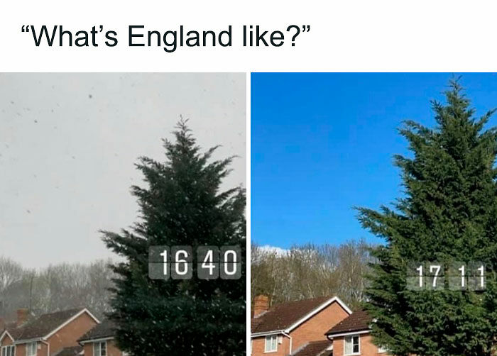 Hilariously Chaotic “Great British Memes” To Prove The U.K. Is Unlike Anywhere Else In The World (New Pics)