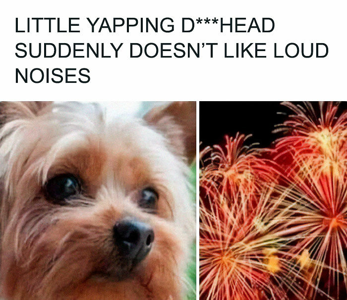 Hilariously Chaotic “Great British Memes” To Prove The U.K. Is Unlike Anywhere Else In The World (New Pics)