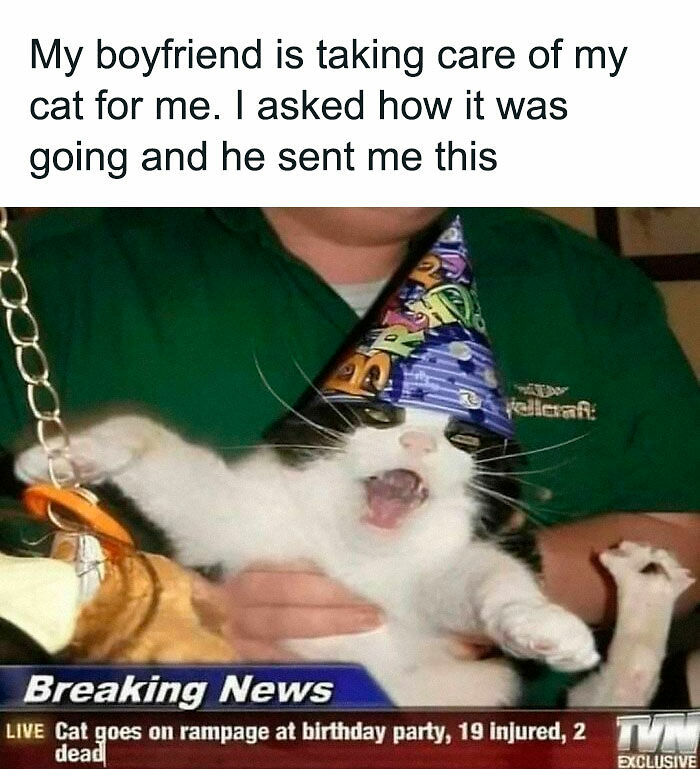 80 Of The Funniest Memes To Make Your Day Better